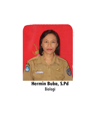 Hermin Buba